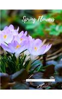 Spring Flowers