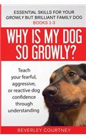 Essential Skills for your Growly but Brilliant Family Dog