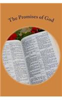 Promises of God: English - King James Version