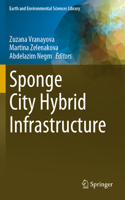 Sponge City Hybrid Infrastructure