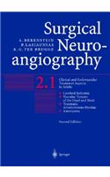 Surgical Neuroangiography