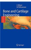 Bone and Cartilage Engineering