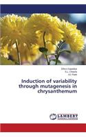 Induction of variability through mutagenesis in chrysanthemum