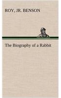 The Biography of a Rabbit