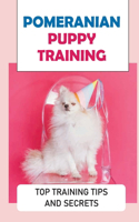 Setting Your Pomeranian Up For Success: Obedience & Potty Training For Your Pomeranian: Pomeranian Respect Training