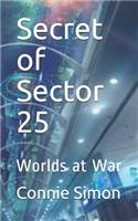 Secret of Sector 25