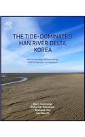 Tide-Dominated Han River Delta, Korea
