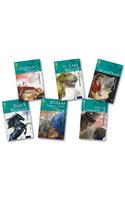 Oxford Reading Tree TreeTops Classics: Level 16: Pack of 6