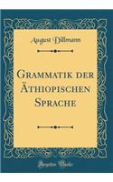 Grammatik Der Äthiopischen Sprache (Classic Reprint)