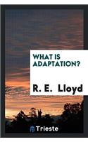 WHAT IS ADAPTATION?
