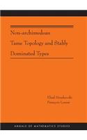 Non-Archimedean Tame Topology and Stably Dominated Types