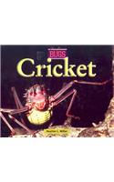 Crickets