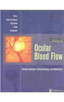 Atlas of Ocular Blood Flow: Vascular Anatomy, Pathophysiology, and Metabolism