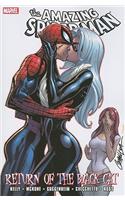 Spider-man: Return Of The Black Cat