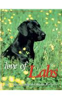 Love of Labs