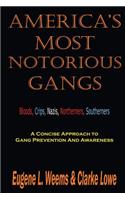 America's Most Notorious Gangs: A Concise Approach to Gang Prevention and Awareness