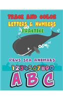 Trace and Color Letters & Numbers Plactice Plus Sea Animals