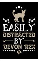Easily Distracted by Devon Rex