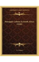 Pineapple Culture In South Africa (1920)