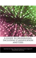 A Guide to Mushrooms, Including Classification and Uses