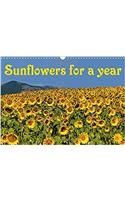 Sunflowers for a Year 2018