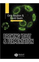 Brewing Yeast and Fermentation