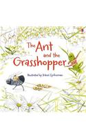 The Ant and the Grasshopper