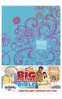 Big Picture Interactive Bible for Kids-HCSB