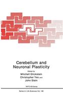 Cerebellum and Neuronal Plasticity