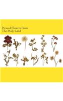 Pressed Flowers From The Holy Land