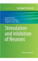 Stimulation and Inhibition of Neurons