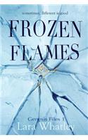 Frozen Flames