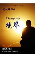 Disregarding the Wondering Phenomena