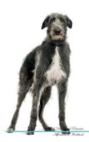 Scottish Deerhound Affirmations Workbook Scottish Deerhound Presents