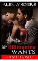 What the Billionaire Wants: Extended Bundle (Bdsm Erotic Romance)