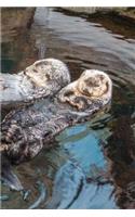 Relaxing Otters (Journal / Notebook)