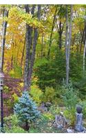 Journal Fall Foliage Colors Autumn Landscape