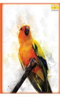 Write Here Notebooks: Parrot Journal / Notebook Lined Paper 150 Pages 6"x9" Composition Book Colorful Parrot