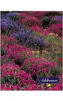 American Wildflowers: Address Book