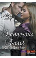 Dangerous Secret [The Pinnacles of Power Prequel] (Bookstrand Publishing Romance)