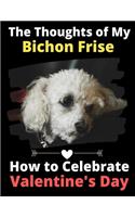 The Thoughts of My Bichon Frise