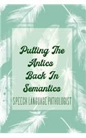 Putting The Antics Back In Semantics Speech Language Pathologist
