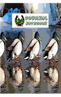 Journal Notebook: Animal Daily Journaling - Lined Paper Wide Ruled Notes Spark Your Imagination and Positive Thinking - Birds & Lucky Signs Print