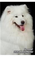 Samoyed 2020 Weekly Planner: Weekly Planner - 12 Months - 107 pages 6 x 9 in. - Calendar - Dog Diary - Organizer - Agenda - Appointment - Half Spread Wide Ruled Pages