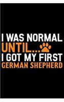I Was Normal Until I Got My First German Shepherd