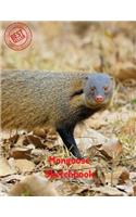 Mongoose Sketchbook