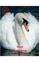 Swan Sketchbook