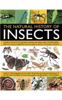 Natural History of Insects