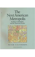 The Next American Metropolis