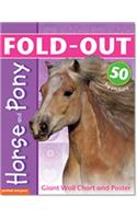 Fold-Out Poster Sticker Book: Horse & Pony